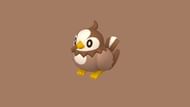 Shiny Starly (Image via The Pokemon Company)